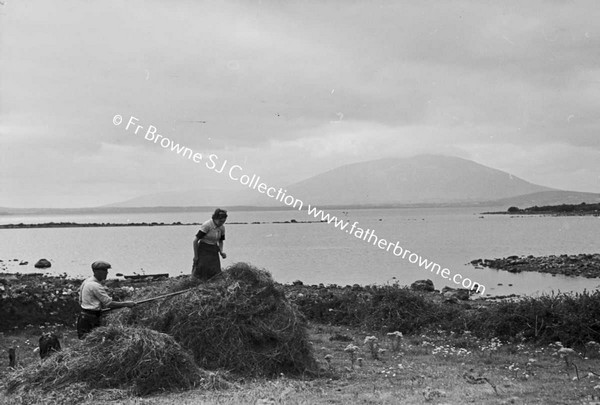 HAY MAKING NEAR LOUGH CONN